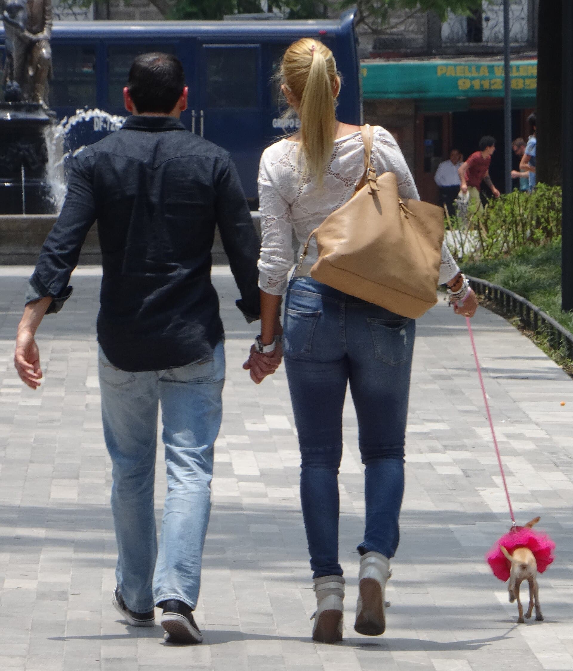 Pareja con su perro en la Alameda Central
