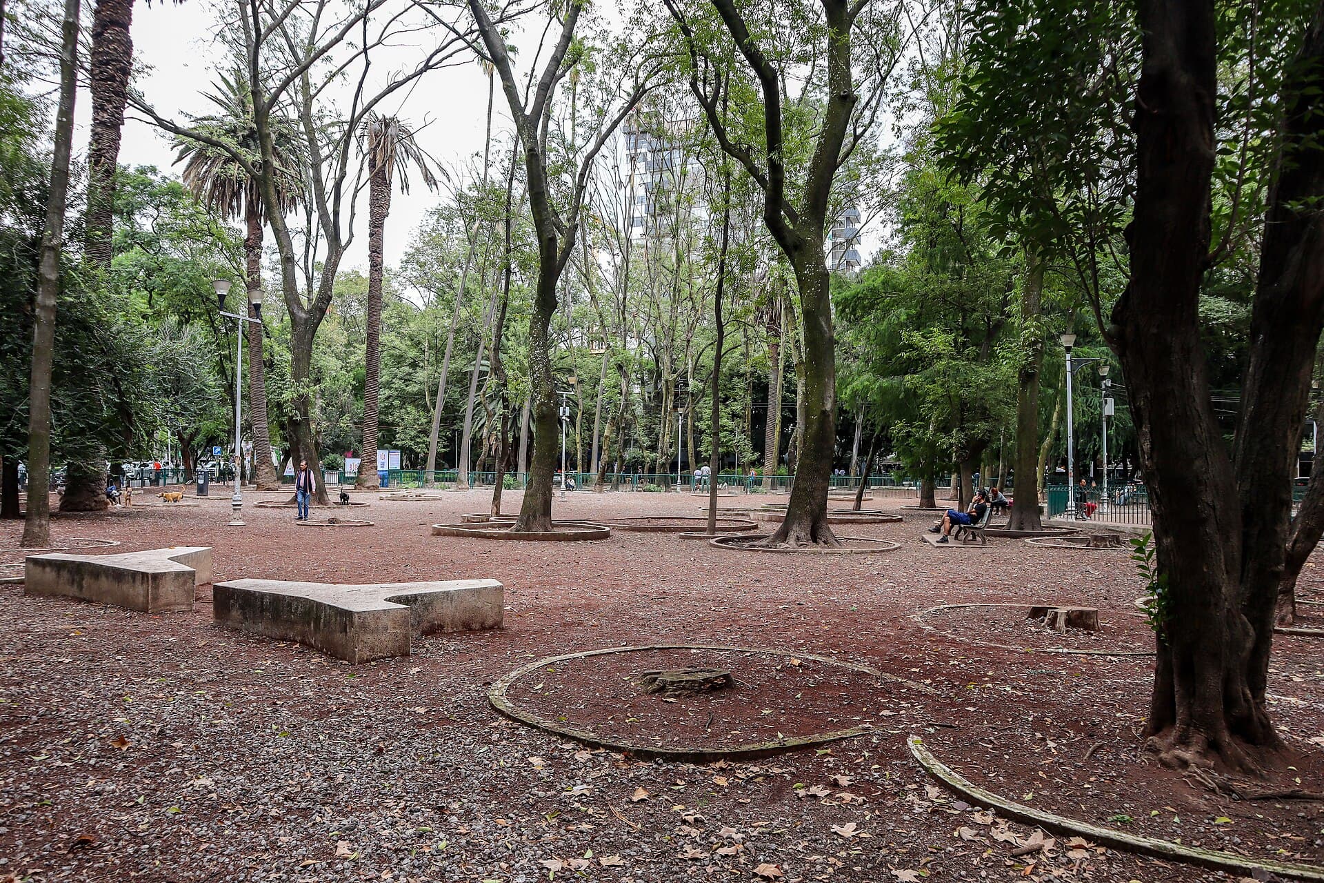 Área canina de Parque México